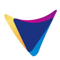 voizmed pharma Logo