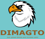DIMAGTO ONLINE SERVICES PVT LTD
