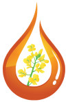 Leasole manufacturing Pvt Ltd Logo