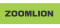 Zoomlion India Private Limited