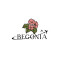 PT Begonia Bisnis Partner