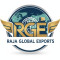 Raja Global Exports