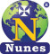 Nunes Instruments Logo
