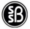 S.S.B. POLYMERS & ENTERPRISES Logo