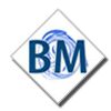Brij Minerals Logo