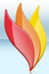 Perfect Heat Solution Logo