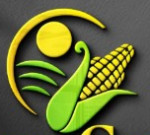 V S AGRO Logo
