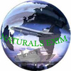 Naturals Export and Import Logo