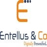 Entellus Co