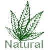 Natural Health Care Logo