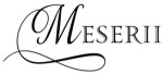 Meserii Logo