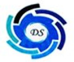 Dynamic Seals Engineering Logo