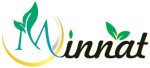 Aamna global Logo