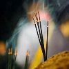 Incense, Incensory & Pooja Articles
