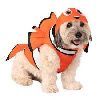Animal Clothing & Accessories