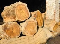 Sheesham Timber