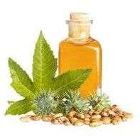 Crude Castor Oil