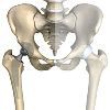 Orthopedic Equipment & Supplies
