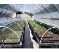 Greenhouse, Polyhouse & Nursery Supplies