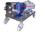 ROTARY LOBE PUMP