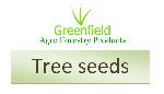Tree seeds