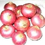 onion (vegetables)