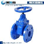 gate valve