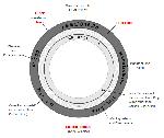 Spiral Wound Gaskets