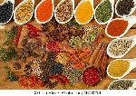 Indian Spices Powder/Ground Spices