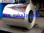 Galvanized Steel Coils
