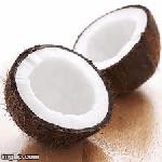 Coconut  & Coir Products