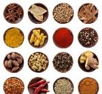 Food Ingredients/ Spices
