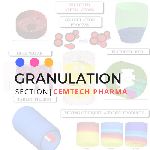 Granulation Section