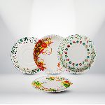 Disposable Paper Plates - Printed Paper Plates