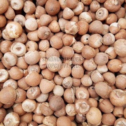 Betel Nuts