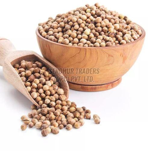 Coriander Seeds