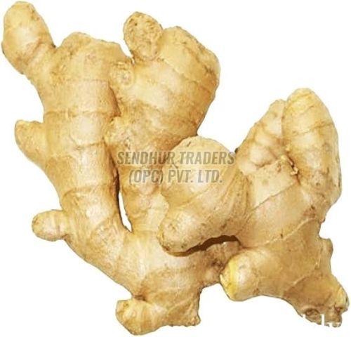 Fresh Ginger Green