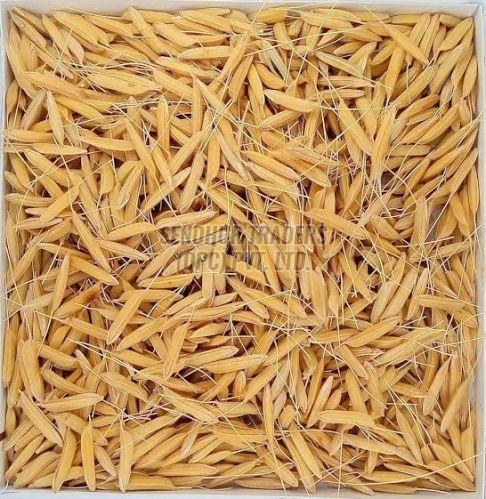 Indian Paddy Rice