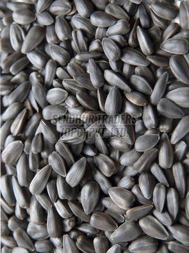 Sunflower Seeds