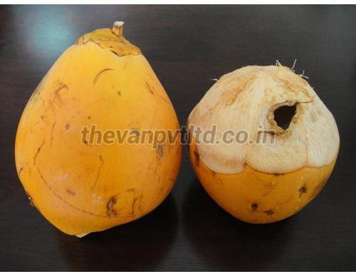 Yellow Tender Coconut