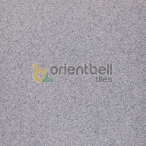 300X300mm BFM Anti-Skid EC Silver Floor Tile