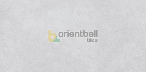 600X1200mm BHF Sandy Silver FT Floor Tile
