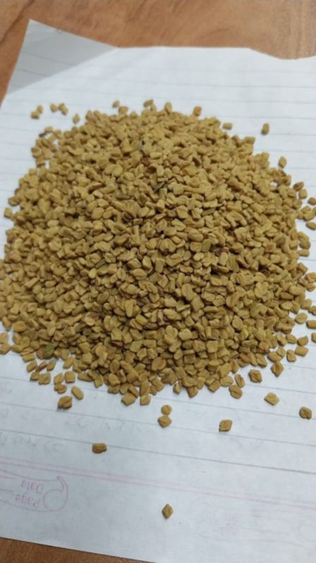 fenugreek