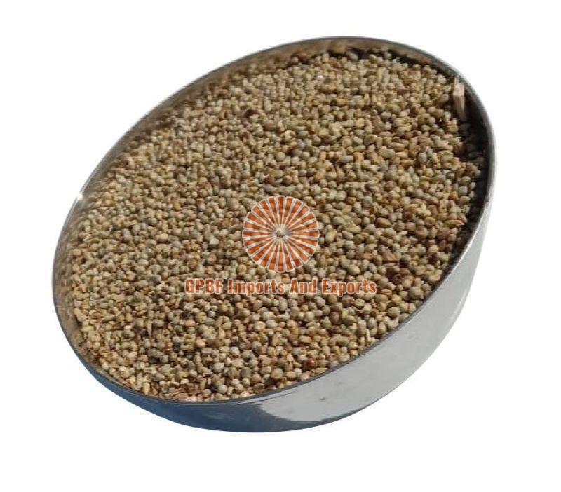 Pearl Millet Cattle Feed Exporter,Pearl Millet Cattle Feed Supplier