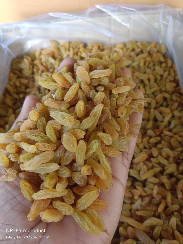 dried golden raisins