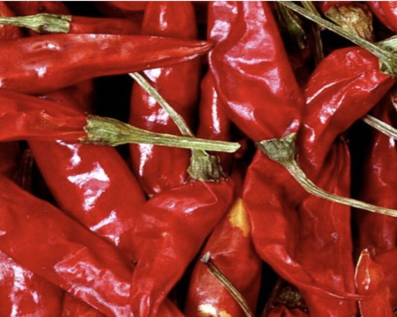 indian red chilli