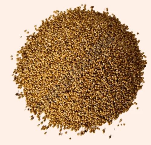 Browntop Millet Seeds