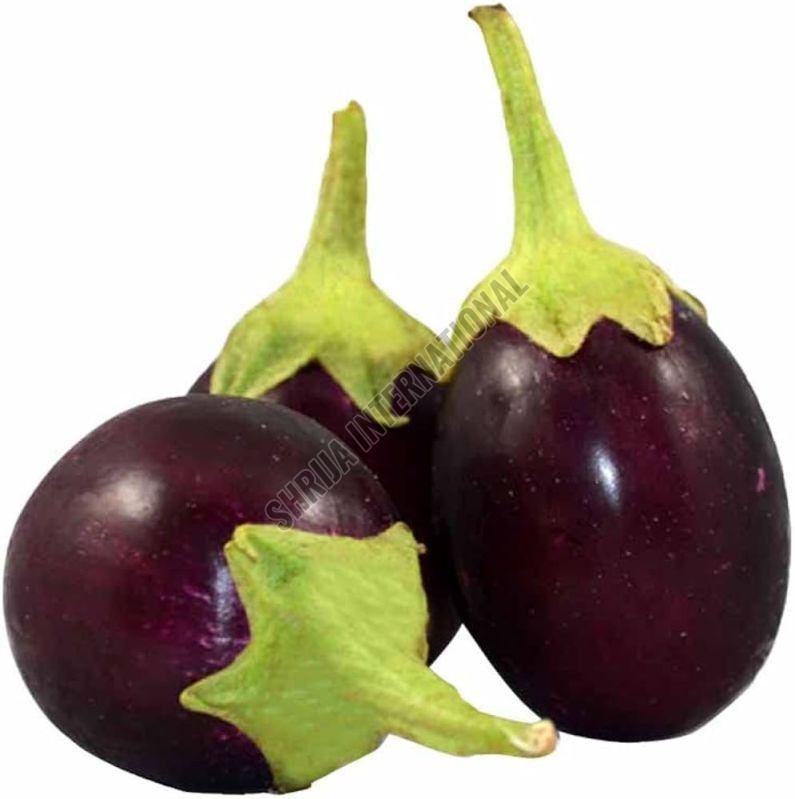 Fresh Brinjal