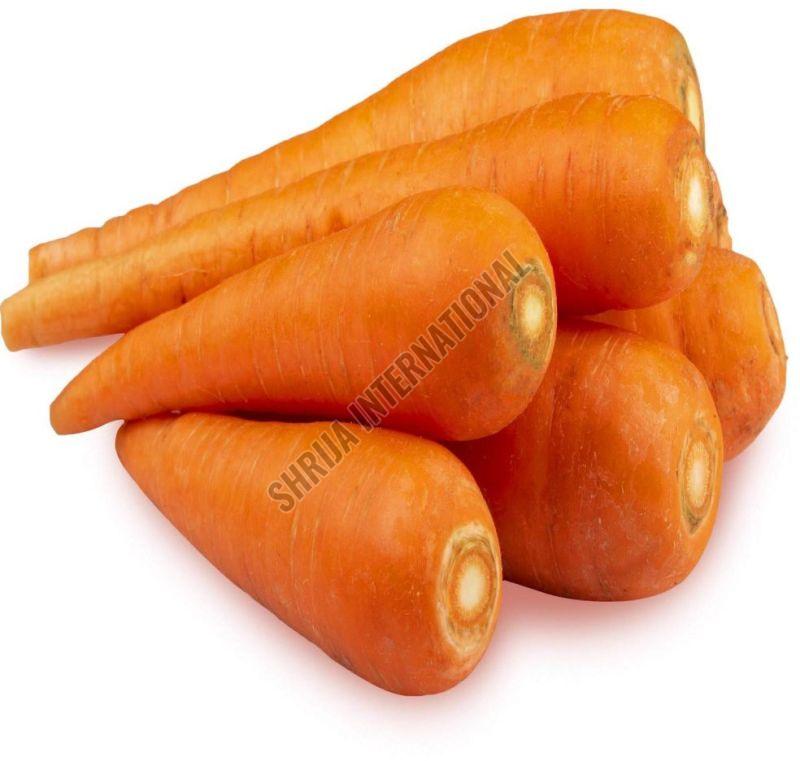 Fresh Carrot