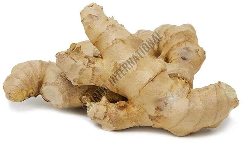 Fresh Ginger